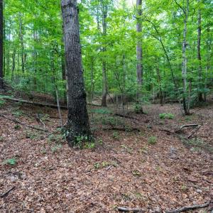 Photo #29 of Allens Creek Rd, Gladstone, VA 86.8 acres