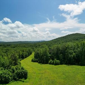 Photo #10 of Allens Creek Rd, Gladstone, VA 86.8 acres
