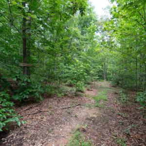 Photo #32 of Allens Creek Rd, Gladstone, VA 86.8 acres