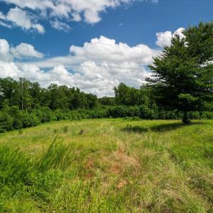 Photo #25 of Allens Creek Rd, Gladstone, VA 86.8 acres