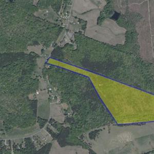 Photo #1 of Tabor Road, Gladys, VA 42.1 acres