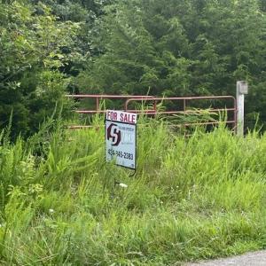 Photo #2 of Tabor Road, Gladys, VA 42.1 acres
