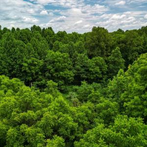Photo #11 of Elkton Farm Road, Forest, VA 5.0 acres