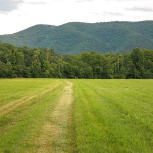 Photo #5 of 41 News Road, Eagle Rock, VA 20.3 acres
