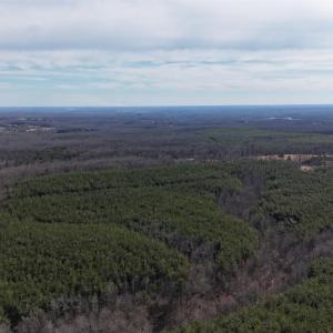 Photo #8 of Mountain Cut Road, Appomattox, VA 51.8 acres