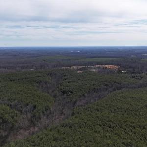 Photo #7 of Mountain Cut Road, Appomattox, VA 51.8 acres