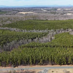 Photo #3 of Mountain Cut Road, Appomattox, VA 51.8 acres