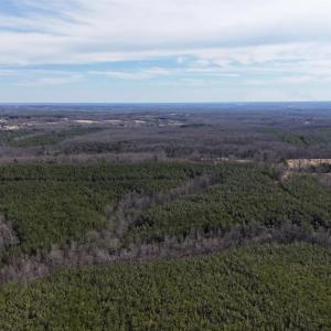 Photo #6 of Mountain Cut Road, Appomattox, VA 51.8 acres