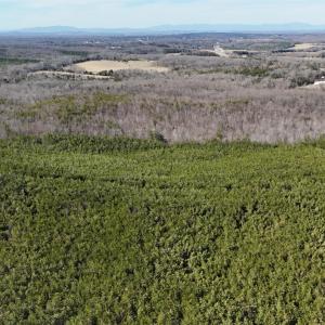 Photo #5 of Mountain Cut Road, Appomattox, VA 51.8 acres