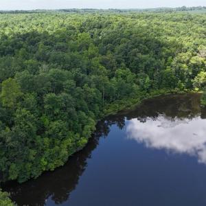 Photo #14 of Mountain Cut Road, Appomattox, VA 51.8 acres