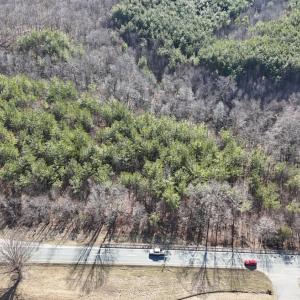 Photo #4 of Richmond Highway, Appomattox, VA 26.2 acres