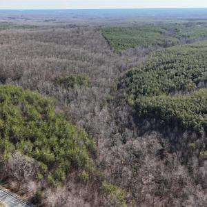 Photo #7 of Richmond Highway, Appomattox, VA 26.2 acres