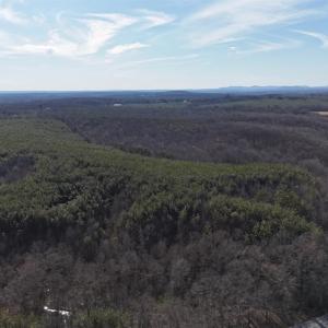 Photo #13 of Richmond Highway, Appomattox, VA 26.2 acres