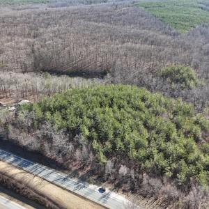 Photo #3 of Richmond Highway, Appomattox, VA 26.2 acres