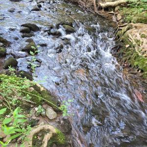 Photo #11 of Meadors Mill Road, Bedford, VA 22.0 acres