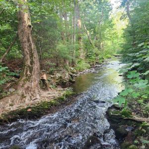 Photo #14 of Meadors Mill Road, Bedford, VA 22.0 acres