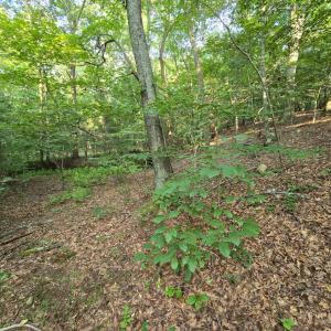 Photo #13 of Meadors Mill Road, Bedford, VA 22.0 acres
