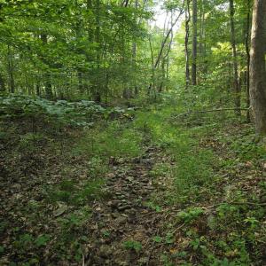 Photo #9 of Meadors Mill Road, Bedford, VA 22.0 acres