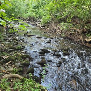 Photo #5 of Meadors Mill Road, Bedford, VA 22.0 acres