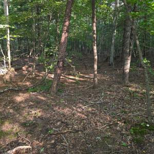 Photo #4 of Meadors Mill Road, Bedford, VA 22.0 acres