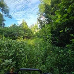 Photo #12 of Meadors Mill Road, Bedford, VA 22.0 acres