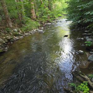 Photo #8 of Meadors Mill Road, Bedford, VA 22.0 acres