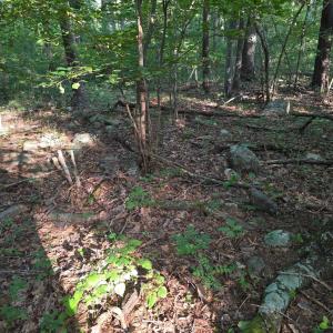 Photo #7 of Meadors Mill Road, Bedford, VA 22.0 acres