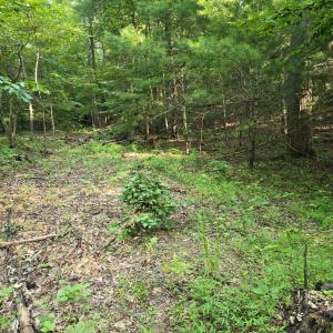 Photo #6 of Meadors Mill Road, Bedford, VA 22.0 acres