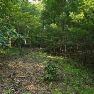 Photo #10 of Meadors Mill Road, Bedford, VA 22.0 acres