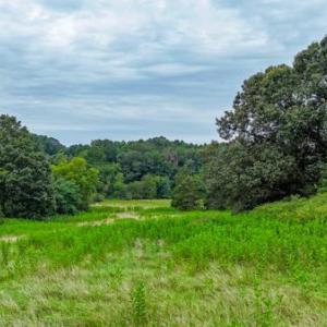 Photo #16 of Phelps Rd, Bedford, VA 20.0 acres