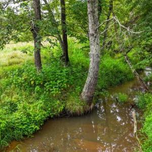 Photo #13 of Phelps Rd, Bedford, VA 20.0 acres