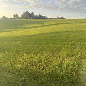 Photo #3 of Phelps Rd, Bedford, VA 20.0 acres