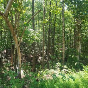Photo #1 of Knoll Woods Drive, Rustburg, VA 4.0 acres