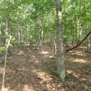Photo #7 of Knoll Woods Drive, Rustburg, VA 4.0 acres