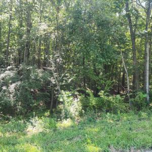 Photo #2 of Knoll Woods Drive, Rustburg, VA 4.0 acres