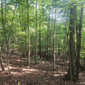 Photo #5 of Knoll Woods Drive, Rustburg, VA 4.0 acres