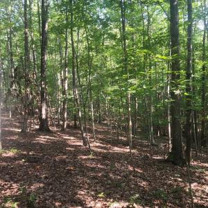 Photo #4 of Knoll Woods Drive, Rustburg, VA 4.0 acres