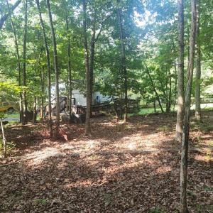 Photo #6 of Knoll Woods Drive, Rustburg, VA 4.0 acres