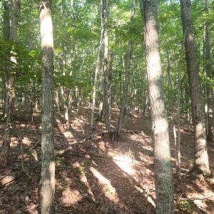 Photo #3 of Knoll Woods Drive, Rustburg, VA 4.0 acres