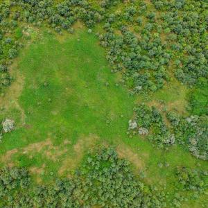 Photo #34 of 62 Grandmas Hill Road, Amherst, VA 62.0 acres