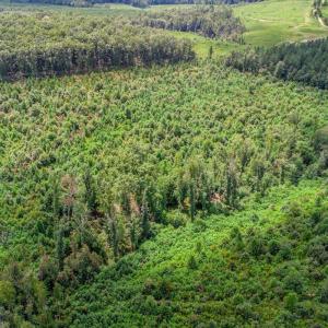 Photo #17 of 62 Grandmas Hill Road, Amherst, VA 62.0 acres