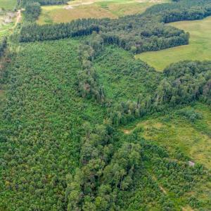 Photo #8 of 62 Grandmas Hill Road, Amherst, VA 62.0 acres