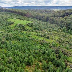 Photo #29 of 62 Grandmas Hill Road, Amherst, VA 62.0 acres