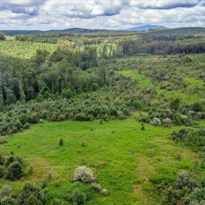 Photo #24 of 62 Grandmas Hill Road, Amherst, VA 62.0 acres