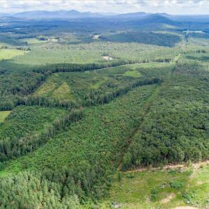 Photo #9 of 62 Grandmas Hill Road, Amherst, VA 62.0 acres