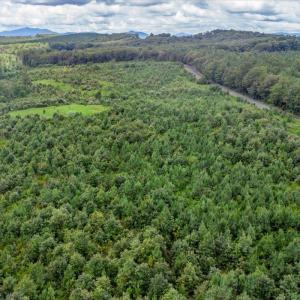 Photo #25 of 62 Grandmas Hill Road, Amherst, VA 62.0 acres