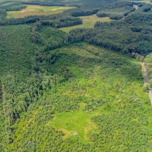 Photo #6 of 62 Grandmas Hill Road, Amherst, VA 62.0 acres