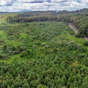 Photo #27 of 62 Grandmas Hill Road, Amherst, VA 62.0 acres