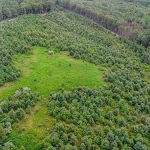 Photo #18 of 62 Grandmas Hill Road, Amherst, VA 62.0 acres