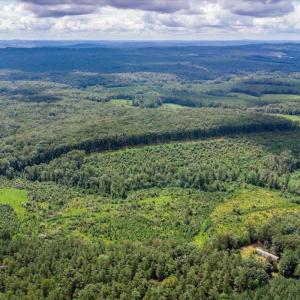 Photo #36 of 62 Grandmas Hill Road, Amherst, VA 62.0 acres